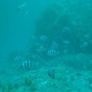 남해-남해-남해-비-7 이미지