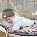 달단지스테이 이미지