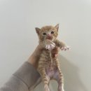 남산연합동물병원 이미지