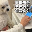 뽀미까까 이미지