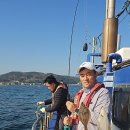 참가자미 이미지