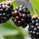 대치2동주민센터 이미지