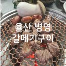 갈메기구이 이미지