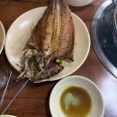 촌놈애견샵 다이닝코드