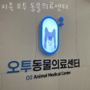 지축오투동물의료센터 네이버블로그