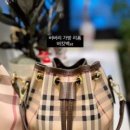 비니브로