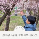 걸매공원 공중화장실 | 서귀포 매화 개화시기 걸매생태공원 아이와 봄 산책