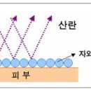 자외선이란 무엇인가 알아봅시당.... 이미지