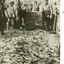 강동면-3 | 1930년대부터 해방전까지 일제강점기 강동면에 강동시장이 열렸다