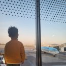 [2박3일제주여행]가족여행후기❤️_제주 서귀포
