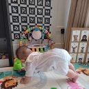 모모마트 이미지