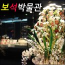 [보석박물관]눈부시게 화려한 보석의 세계- 익산 왕궁 보석 테마관광지