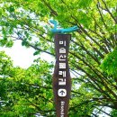 비슬산둘레길 3구간 이미지