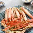 바다를담다 이미지