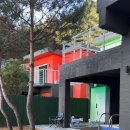 펫빌리지 이미지