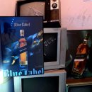 안녕하세요 | 대구 교동 혼술바 고양이있는 감성 술집 칵테일바 혼술 후기 안녕하세요 교동점