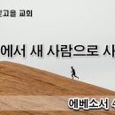 주 안에서 새 사람으로 사는 법 이미지