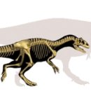 알로사우루스 이미지