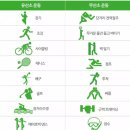 애룰바디 이미지