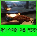 오랜만에 위오돔350과 함께한 용인 연미향 마을 캠핑장