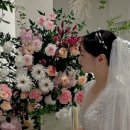 드레스밈 이미지