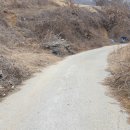 제천공인중개사사무소 이미지