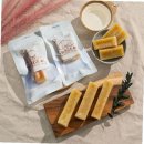 태인 애견 이미지