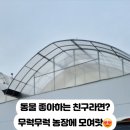 모래틈농장 이미지