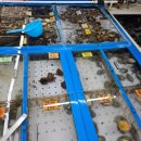 다대수산 이미지