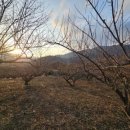 하동약국 이미지