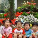 하늘꿈어린이집 이미지