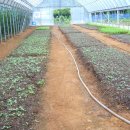 방문농장 이미지