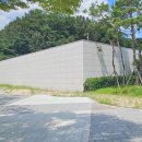 동구청 광장 이미지