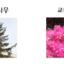혜화학교(특수학교) 이미지