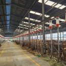 김춘식농장 이미지