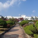 나들이 간 도서관 이미지