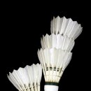 배드민턴 이미지