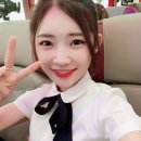 테라모토 이미지