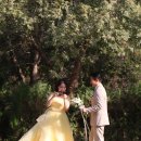 2025년 검암 드림파크 국화축제 / 2 이미지