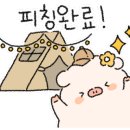 호노골캠핑장 이미지