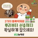 풍년농약사 | &lt;최고농약사&gt;4~5월 고자리파리 대발생 주의! 작물 뿌리 지키는 실전 방제법!