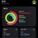 이천용인닭발본점(이천용닭) | 하이데얼 | 일상