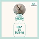 백호동물병원 이미지