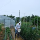 도영 농장 이미지