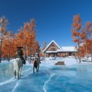 역삼-1210 이미지