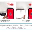 벨트야놀자