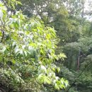 베트남 코로나 탈출, 논산 만복수양관에 잠시 거하다 이미지