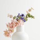 디자인라위 이미지