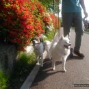 오복펜션 이미지