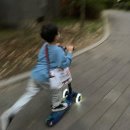 한국체대MVP태권도 | 우리 집 꼬마씨, 태권도 시작 2주년_언제나 감사합니다 &lt;경희대 활기찬 태권도&gt;